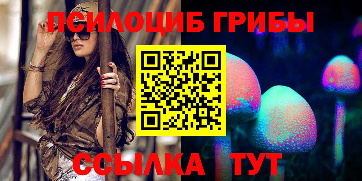 Псилоцибиновые грибы прущие грибы Верхняя Салда